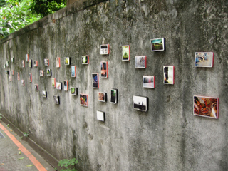中山street壁.jpg